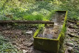 Die Zankelquelle