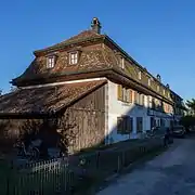 Gelbbau
