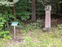 Forstreviergrenzstein Drei Hutbuchen