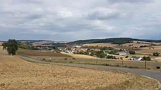 Blick auf die Naturräumliche Einheit 132.0 bei Mädelhofen, zwischen den Karlstadt-Birkenfelder Kalklößplatten und der Eisinger Höhe gelegen