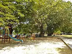 Jardim 5 de Maio
