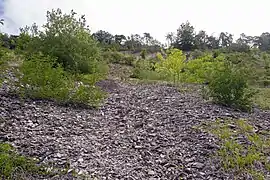 Geotop, Steinbruch am westlichen Arzberg