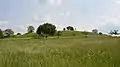 Der Lutherberg westlich von Steinbach. Wo heute Schafen grasen, standen einst die Radaranlagen.