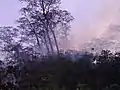 Der Waldbrand am Tag in Leotala