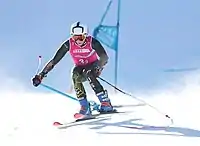 Daniel Gillis beim Mixed-Parallelslalom