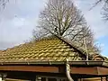 Grünbelag auf einer Dachfläche