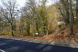 November 2020 Zustand vor der Sanierung der Hangrutschung