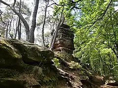 Vogelsbergtürmchen