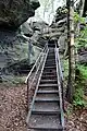 Forststeigmarkierung am Westaufstieg zum Papststein