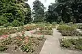 Botanischer Garten, Blick auf den Rosengarten