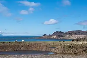 Króksfjörður