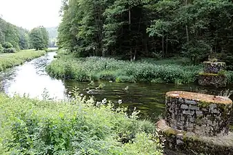 Relikte Anzersteig (2022)