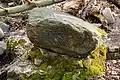 Beschriftungsstein Herthafall 1898