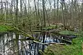Mündung in die Schwärze