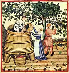 Rotweinherstellung im 14.&nbsp;Jahr­hundert (Tacuinum sanitatis, Bibliothèque nationale de France)