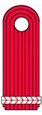 Schulterstück Feuerwehrmann Sachsen-Anhalt