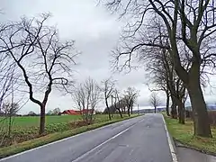 Blick vom Friedhof Altenhagen auf Schoholtensen