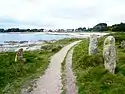 Strand mit Stellsteinreihenrest