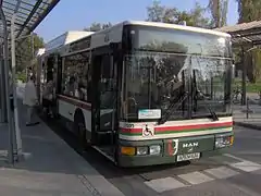 2005: MAN-Erdgas-Gelenkbus des Typs NG 313 CNG (alte Bauform; Erdgas-II), Baujahr 1998 am Neuen Ostfriedhof