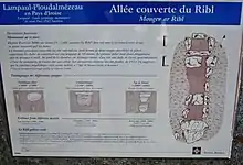 Allée couverte von Ribl