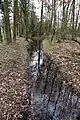 Der Trietbach bei Trietenbroich