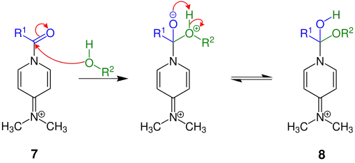Teilschritt des Mechanismus der Steglich-Veresterung