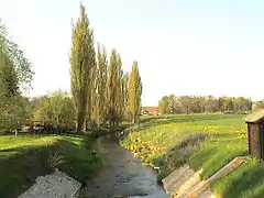 am Pegel in Neukirchen