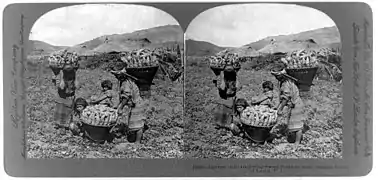 Stereo-Fotografie, ca.&nbsp;1906