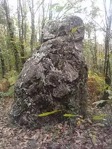 Menhir von Le Hochu