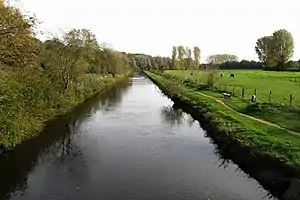 Niersverlauf
