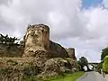 Reste der Burg