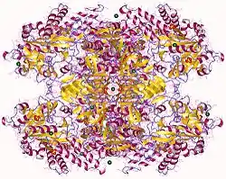 UDP-Glucose-Pyrophosphorylase