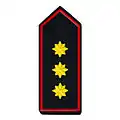 Landesfeuerwehrverband Vorsitzende/-r