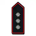 Landesfeuerwehrverband stellv. Vorsitzende/-r