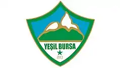 Yeşil Bursa SK