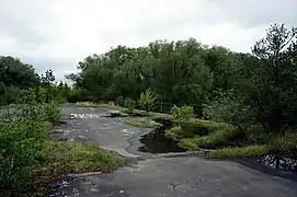 Ehemaliger Abschnitt der A&nbsp;115 am Teltowkanal