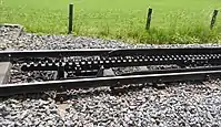 Zahnstangeneinfahrt auf Von-Roll-Zahnstange (auf der Strecke Strub-Zahnstange) mit Rad­lenker.  Bahnstrecke Altstätten–Gais der Appenzeller Bahnen