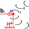 Schritt 2