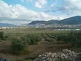 Olivenbäume in Jaen