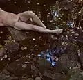 Sarah Marie Jones: A Skinny Dipping Photo&nbsp;3
