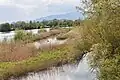 Naturschutzinseln beim Beobachtungsturm