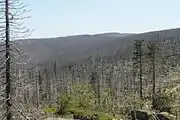 Blick auf die tschechische Seite des Dreisesselberges