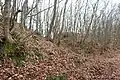 Blick in den Wallgraben