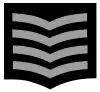 Leitender Hauptbrandmeister
