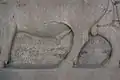 Hieroglypheninschrift zwischen den linken Beinen des linken Stiers