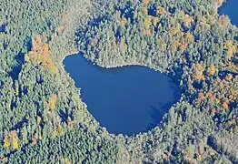 Blassee