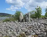 Aghnaskeagh Portal Tomb