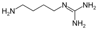 Strukturformel von Agmatin