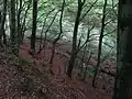 Ahne-Oberlauf oberhalb der Gaststätte Zum Silbersee (⊙51.3204166666679.3566666666667)
