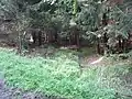 Quellnaher Ahne-Oberlauf am Essigberg (⊙51.3185277777789.3513611111111)